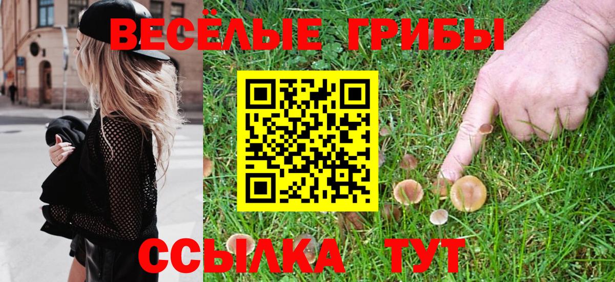 Псилоцибиновые грибы мицелий Тайшет